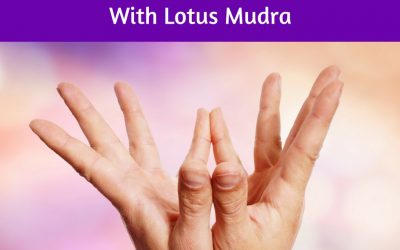 Lotus Mudra ~ Accepting The Negative & Positive