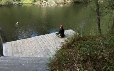 Life Outside The Yoga Room ~ How Do We Cope?