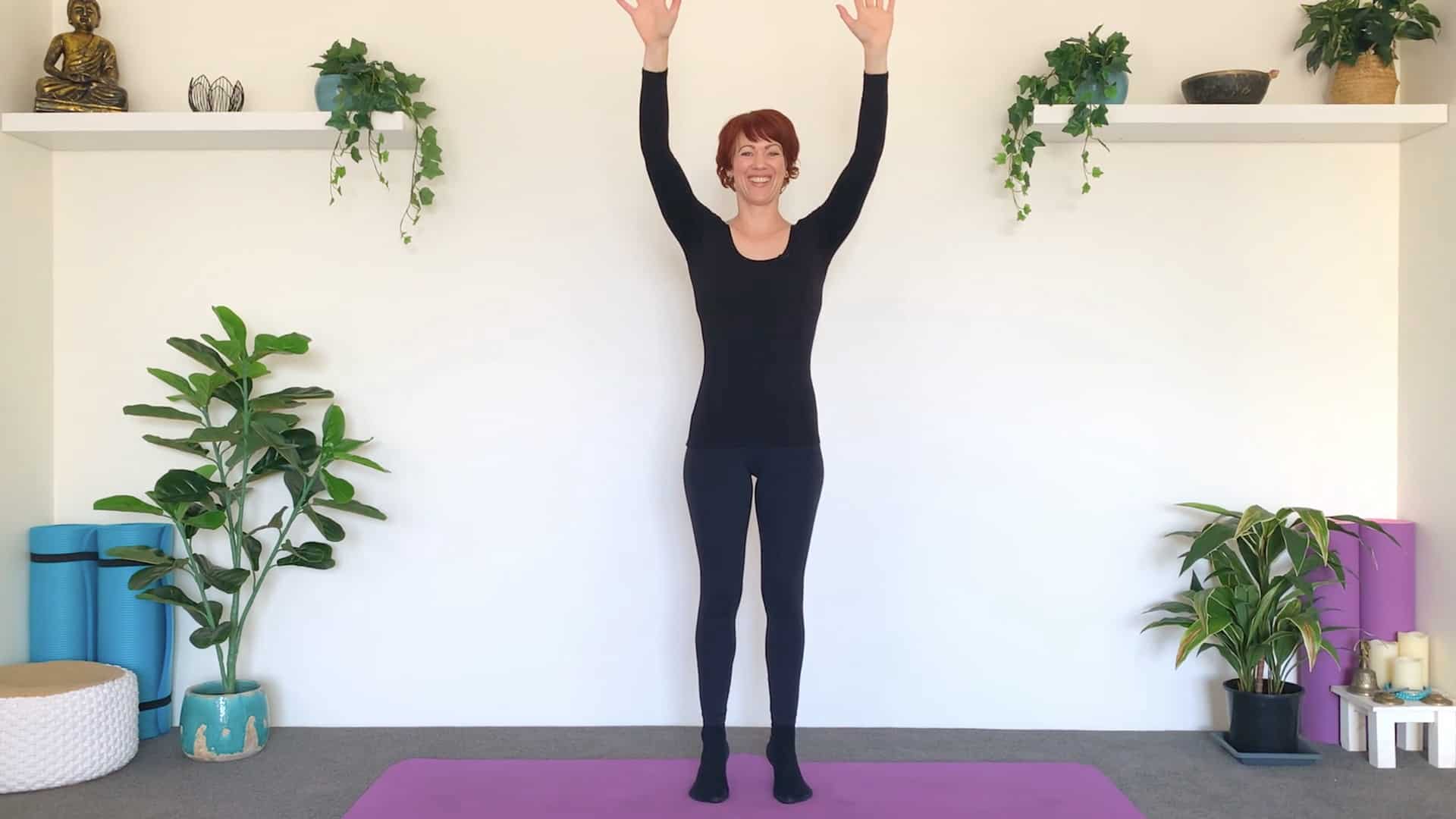 Balancing Heel Lifts